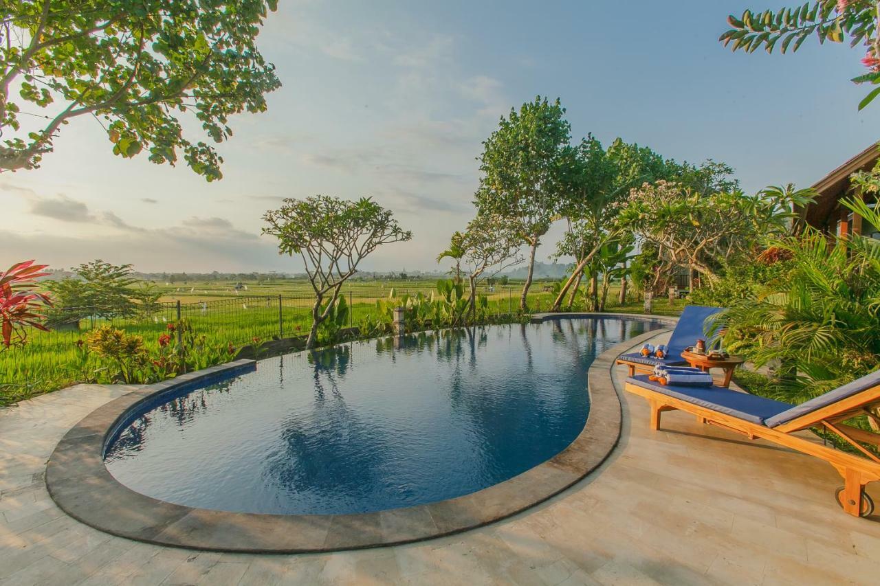 Villa D'Carik Bali Denpasar  Bagian luar foto
